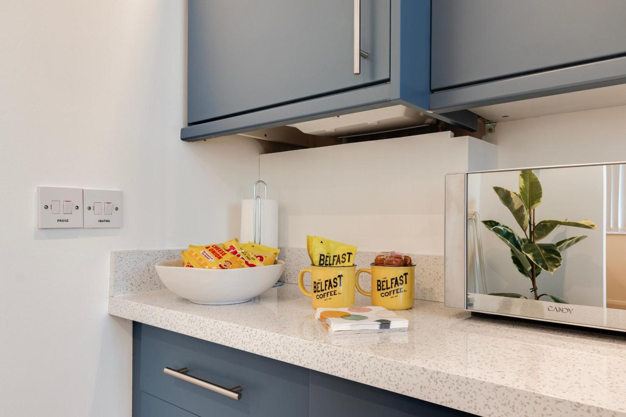 Cherryville Street Appartement Belfast
